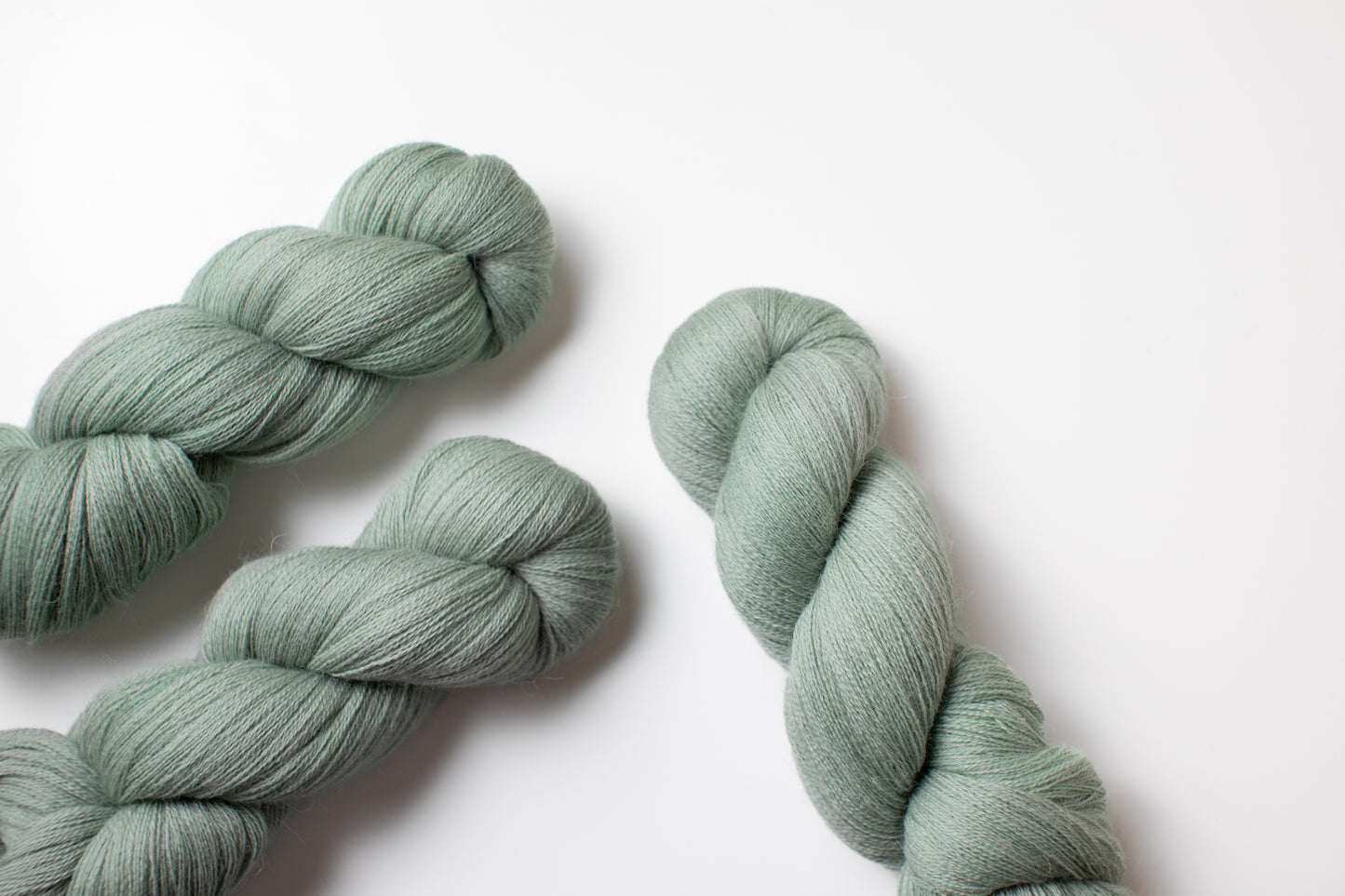 【Alpaca lace】24H 11:00 a.m. Komorebi